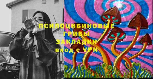 крисы Алексин