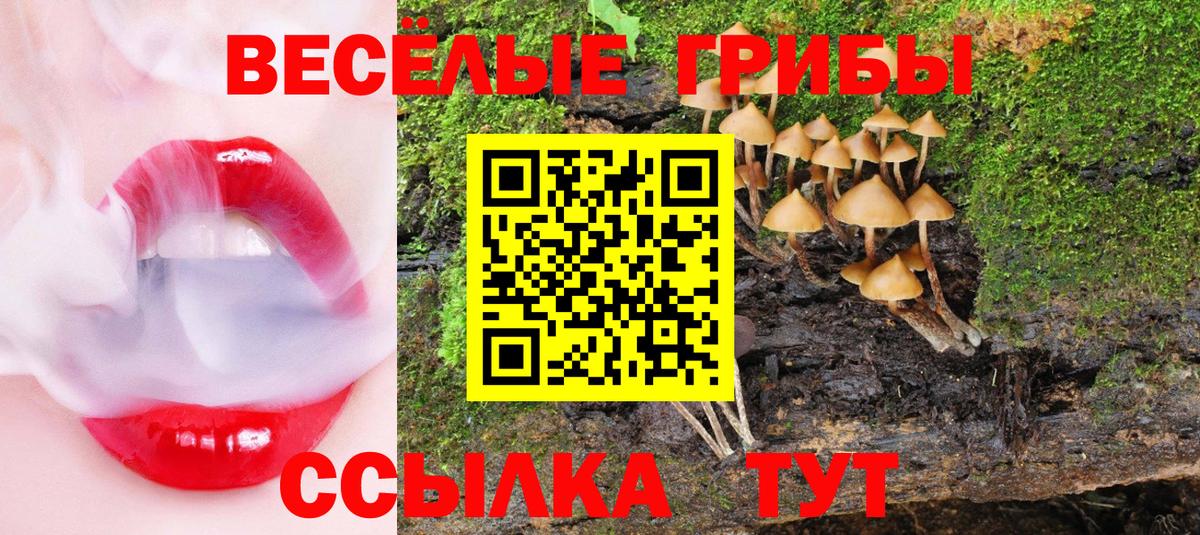 Галлюциногенные грибы MAGIC MUSHROOMS  Вход с VPN  как найти наркотики  Усть-Илимск 